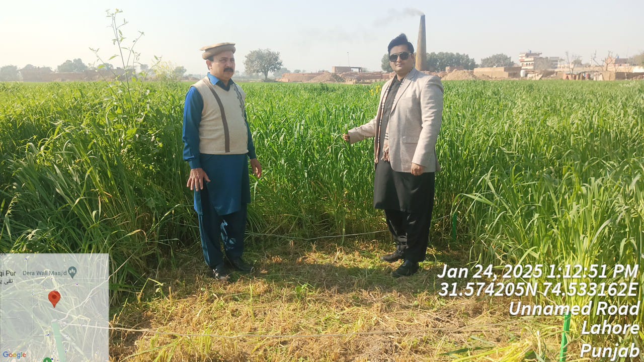 Innovating Agriculture