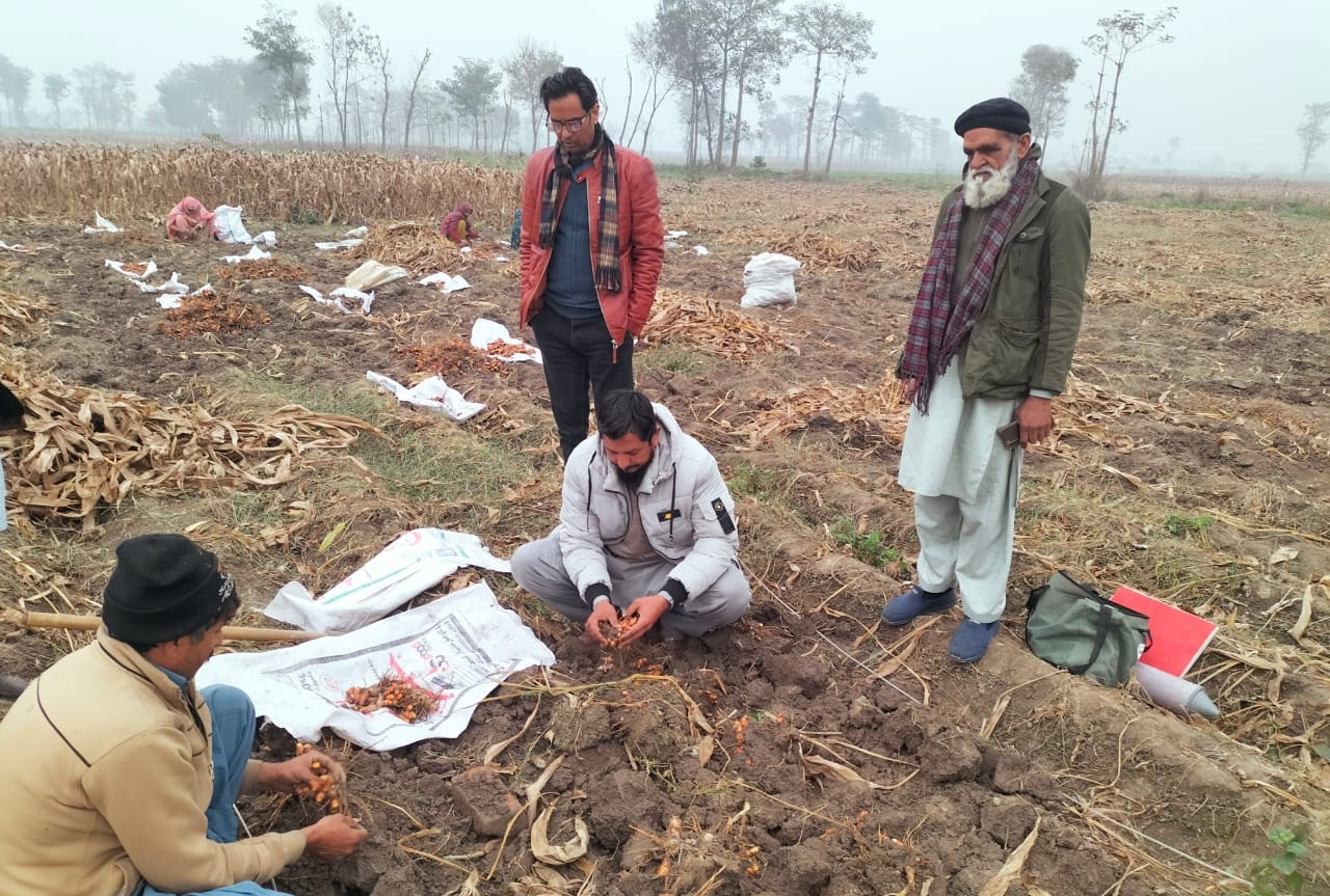 Crop Monitoring