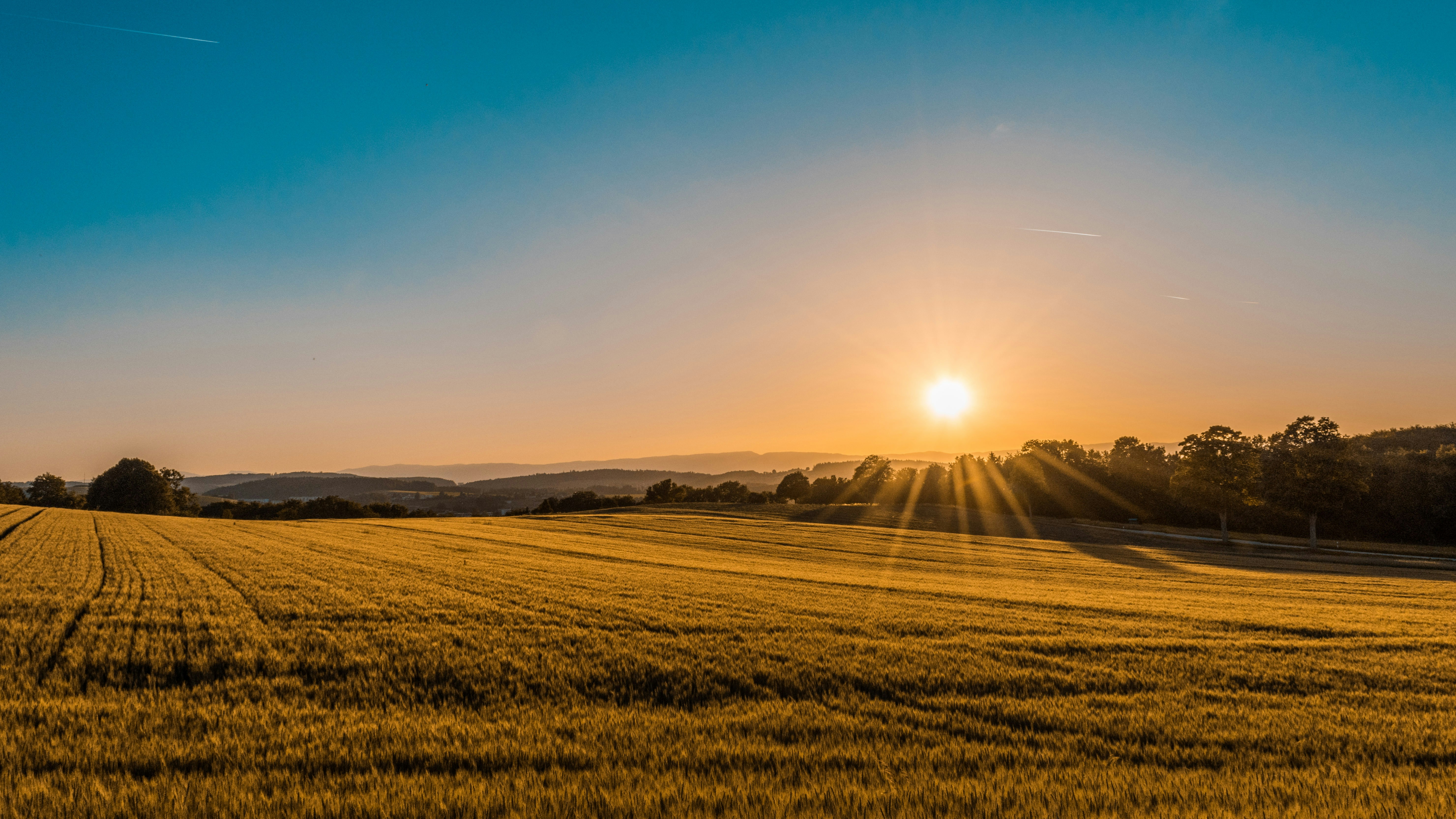 Agriculture Image 3