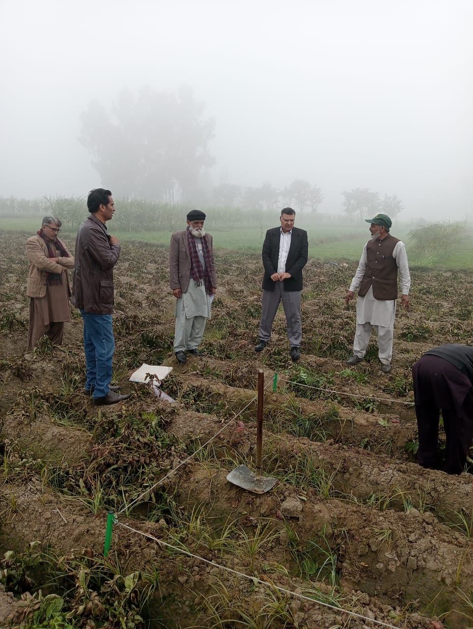 Crop Monitoring